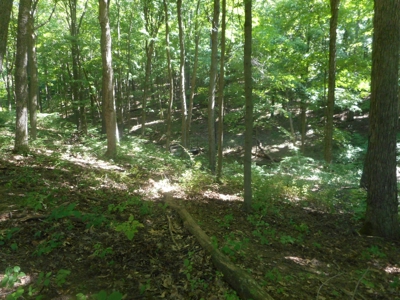 Real Estate Auction - 56 Acres - Newark, OH - image 22