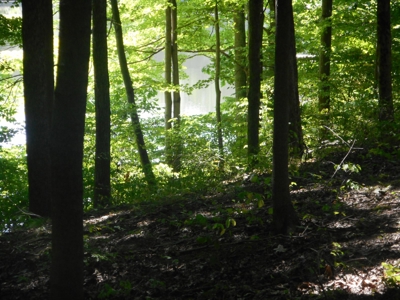 Real Estate Auction - 56 Acres - Newark, OH - image 26
