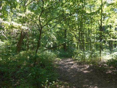 Real Estate Auction - 56 Acres - Newark, OH - image 2