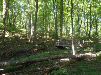 Real Estate Auction - 56 Acres - Newark, OH - image 11