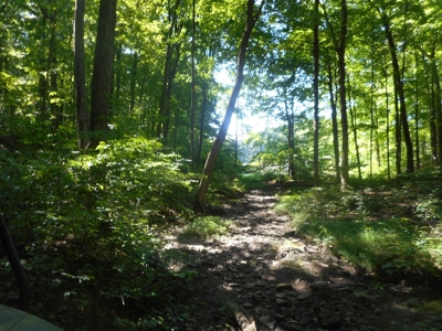 Real Estate Auction - 56 Acres - Newark, OH - image 13