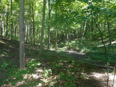 Real Estate Auction - 56 Acres - Newark, OH - image 21