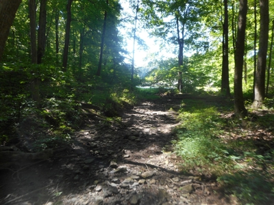 Real Estate Auction - 56 Acres - Newark, OH - image 15
