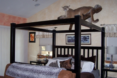 Salida Colorado Home in Town near Historic Downtown For Sale - image 10