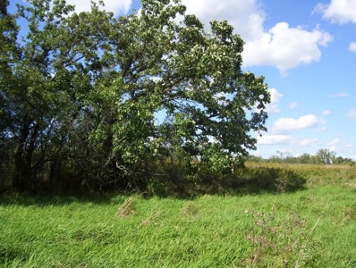 Great Hunting Parcel of 35 Acres - image 19