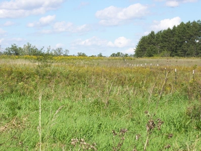Great Hunting Parcel of 35 Acres - image 20