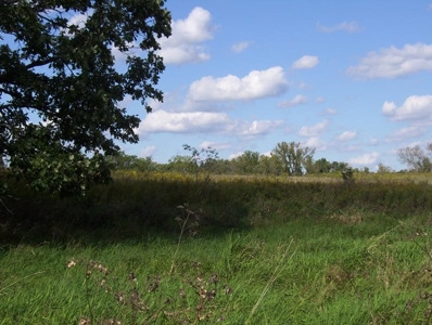 Great Hunting Parcel of 35 Acres - image 21