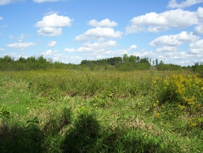 Great Hunting Parcel of 35 Acres - image 8