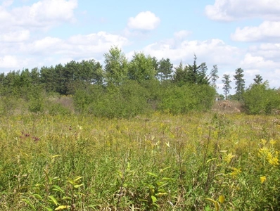 Great Hunting Parcel of 35 Acres - image 10