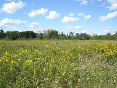 Great Hunting Parcel of 35 Acres - image 25