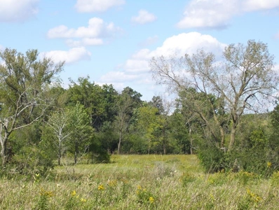 Great Hunting Parcel of 35 Acres - image 30