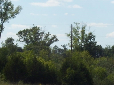 Great Hunting Parcel of 35 Acres - image 32