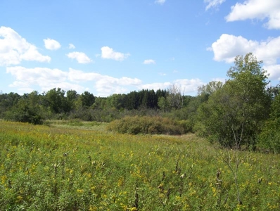 Great Hunting Parcel of 35 Acres - image 34