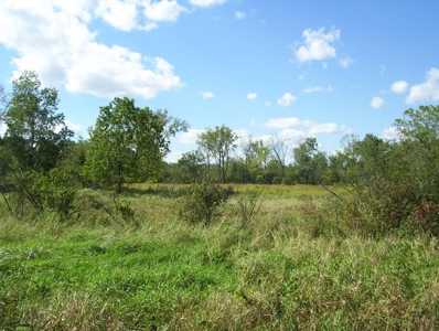 Great Hunting Parcel of 35 Acres - image 46