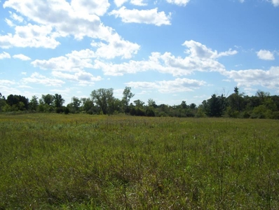 Great Hunting Parcel of 35 Acres - image 31
