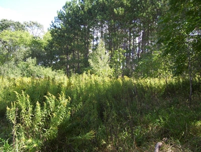 Great Hunting Parcel of 35 Acres - image 9