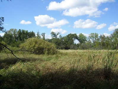 Great Hunting Parcel of 35 Acres - image 37