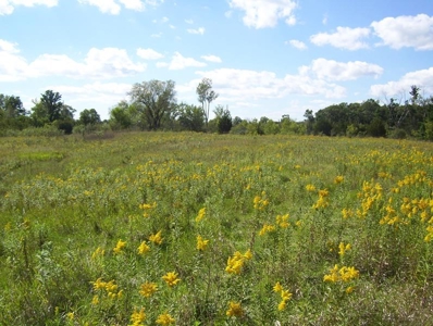 Great Hunting Parcel of 35 Acres - image 24