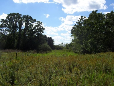 Great Hunting Parcel of 35 Acres - image 23