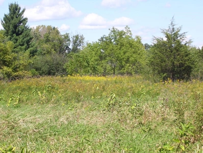 Great Hunting Parcel of 35 Acres - image 6