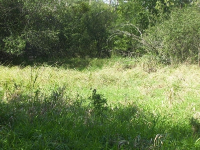 Great Hunting Parcel of 35 Acres - image 5