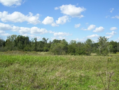 Great Hunting Parcel of 35 Acres - image 29