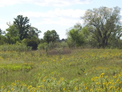 Great Hunting Parcel of 35 Acres - image 26