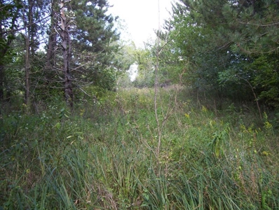 Great Hunting Parcel of 35 Acres - image 49
