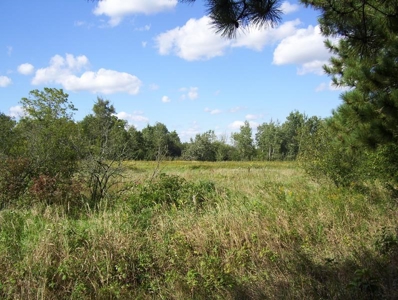 Great Hunting Parcel of 35 Acres - image 45