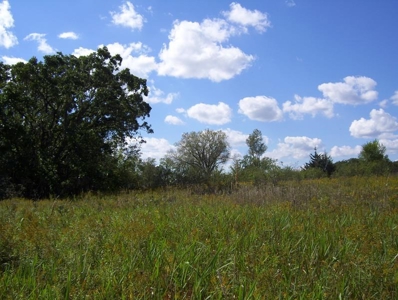 Great Hunting Parcel of 35 Acres - image 22