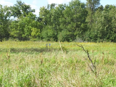 Great Hunting Parcel of 35 Acres - image 50