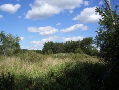 Great Hunting Parcel of 35 Acres - image 39