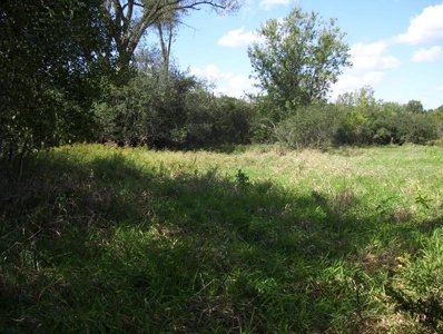 Great Hunting Parcel of 35 Acres - image 3