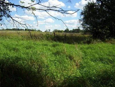 Great Hunting Parcel of 35 Acres - image 15