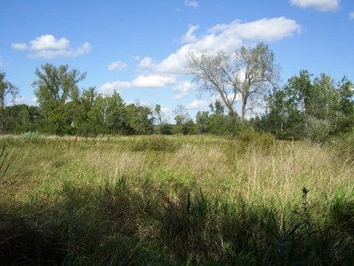 Great Hunting Parcel of 35 Acres - image 36