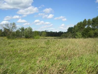 Great Hunting Parcel of 35 Acres - image 28