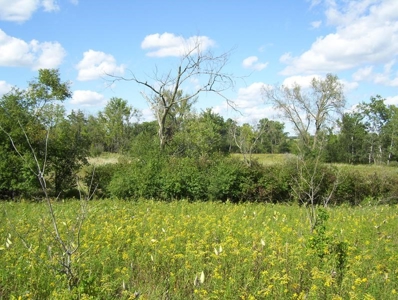 Great Hunting Parcel of 35 Acres - image 35