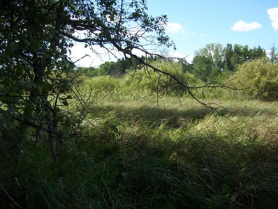 Great Hunting Parcel of 35 Acres - image 38