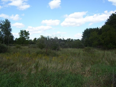 Great Hunting Parcel of 35 Acres - image 41