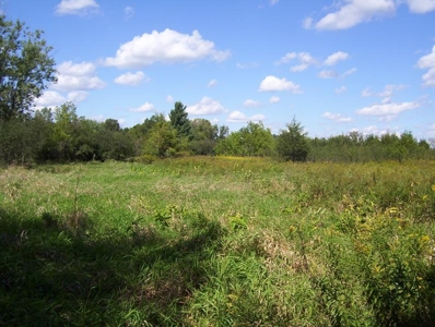 Great Hunting Parcel of 35 Acres - image 7