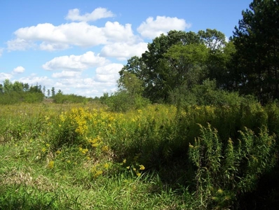 Great Hunting Parcel of 35 Acres - image 2