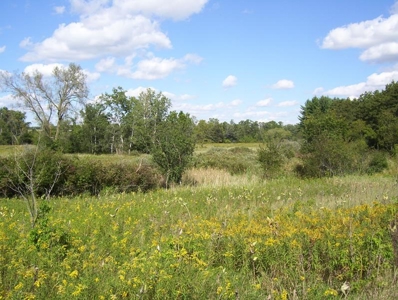 Great Hunting Parcel of 35 Acres - image 33