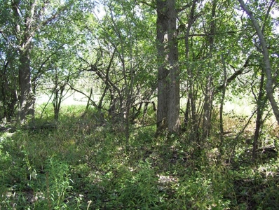 Great Hunting Parcel of 35 Acres - image 14