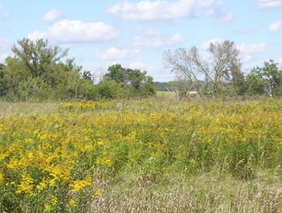 Great Hunting Parcel of 35 Acres - image 27