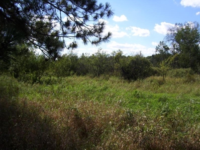 Great Hunting Parcel of 35 Acres - image 47