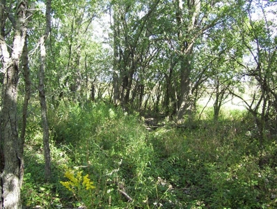 Great Hunting Parcel of 35 Acres - image 12