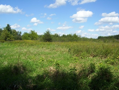 Great Hunting Parcel of 35 Acres - image 11