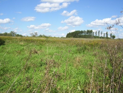 Great Hunting Parcel of 35 Acres - image 18