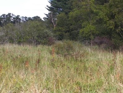 Great Hunting Parcel of 35 Acres - image 43