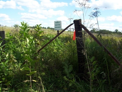 Great Hunting Parcel of 35 Acres - image 17